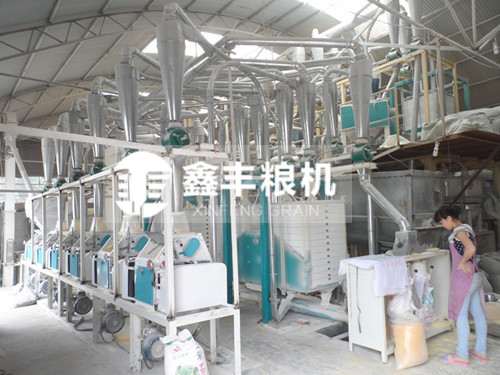 玉米加工設備